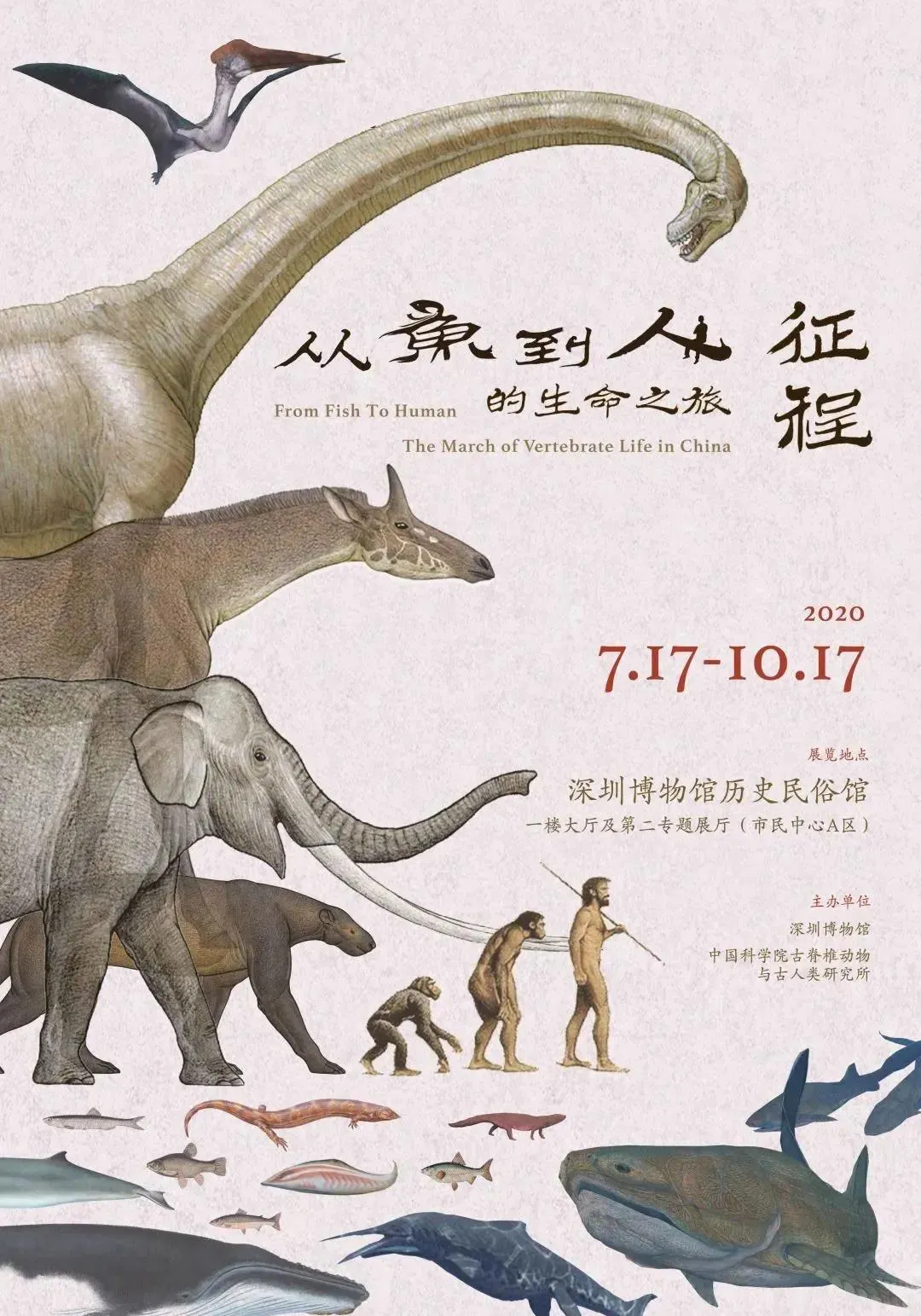 10月，展訊來了(圖15)