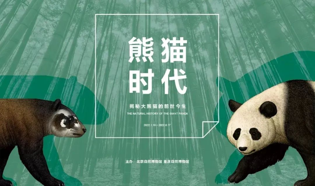 3月北京展訊丨最是一年春好處，最高人氣藝術大展等你去打卡...(圖10)